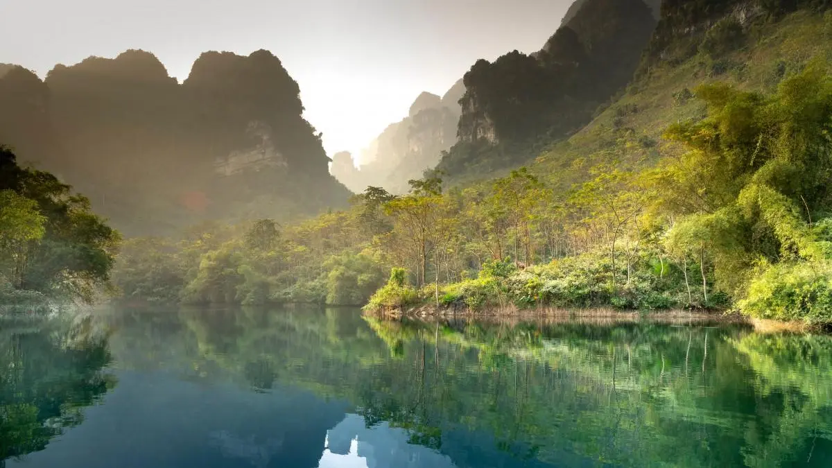 高效高标准智能化